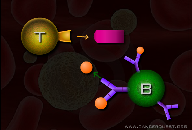 3P_Ciencias Naturales_8