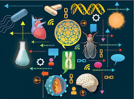 1P_Ciencias Naturales_8