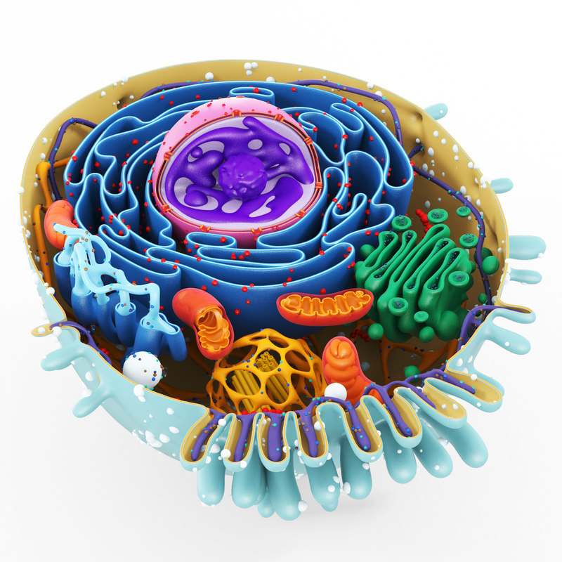 3P_Ciencias Naturales_6_A_M_2023