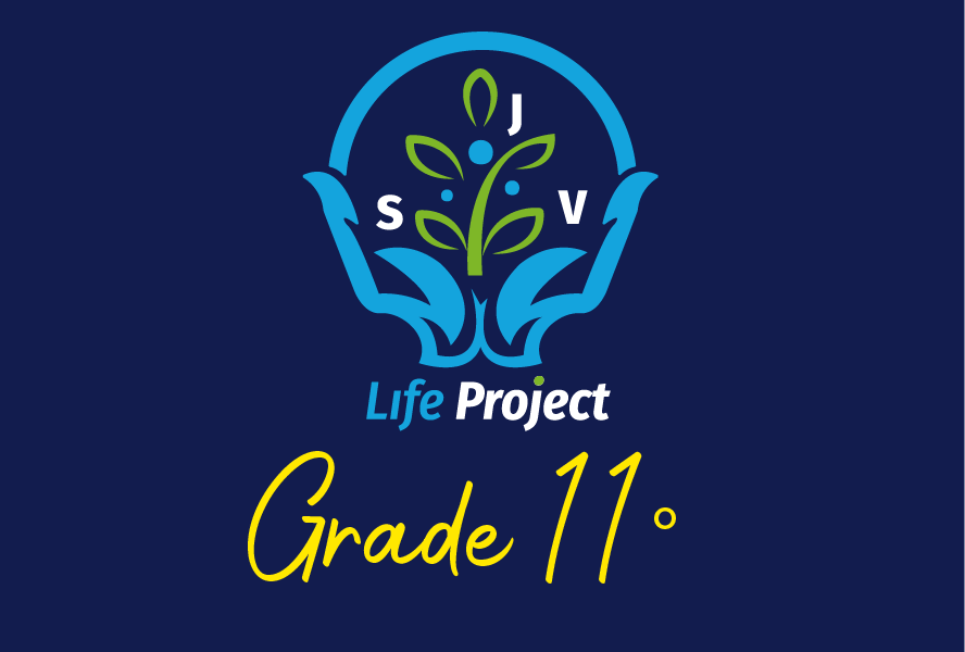 Life project 11