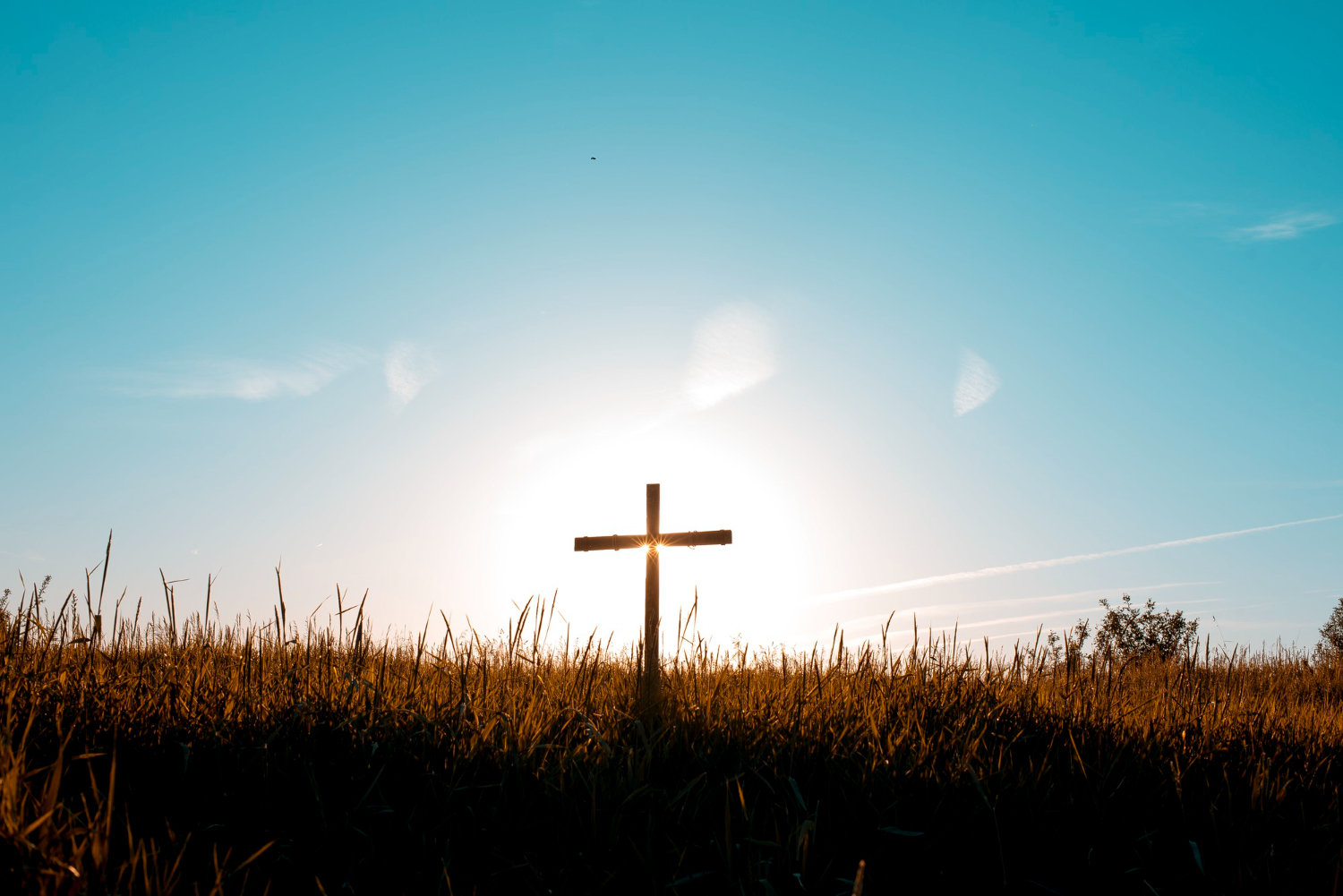 Encuentros con Cristo 2026